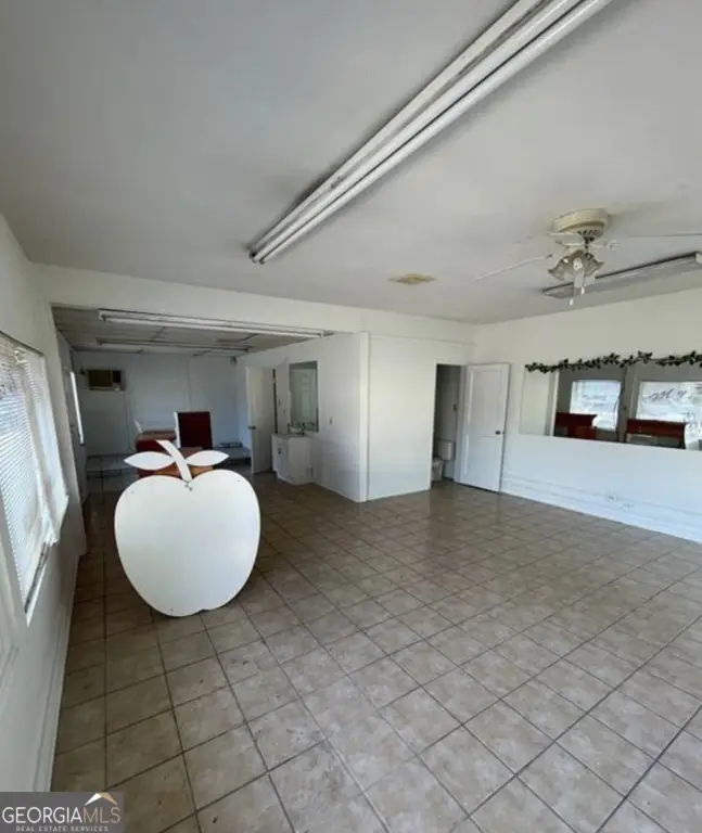 Picture 6