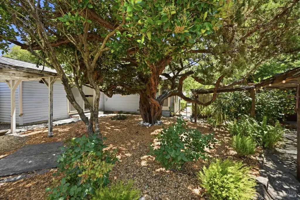 Picture 18