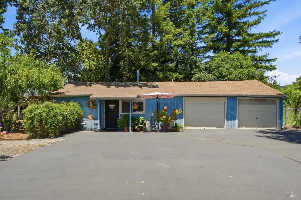 Picture 19