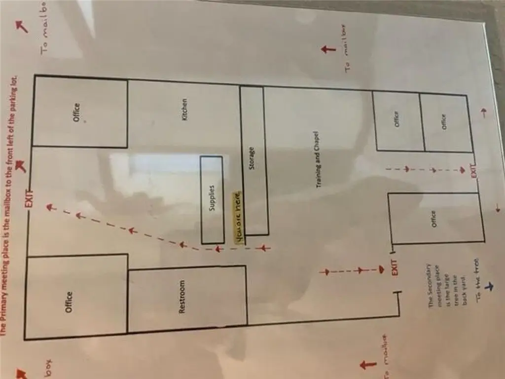 Picture 6