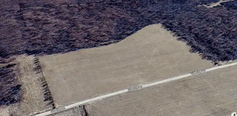 Niangua, MO Pasture & Timber