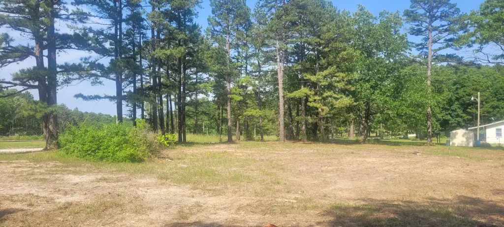 Picture 14
