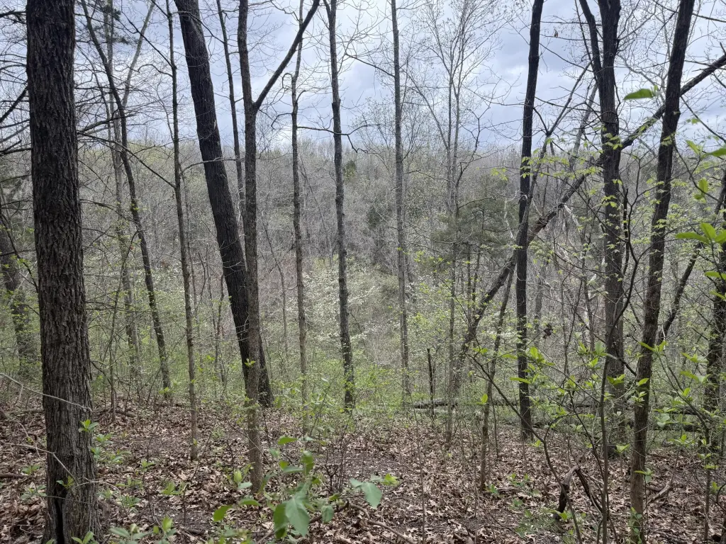Picture 5