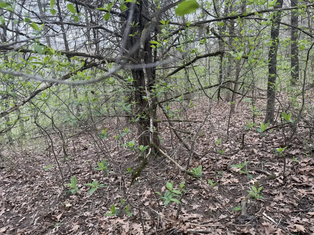 Picture 4