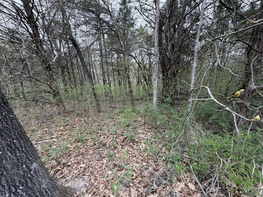 Picture 3