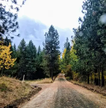 Buildable Land Parcel in Elk, WA