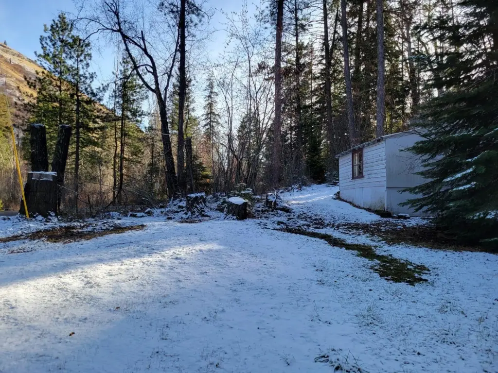 Picture 12