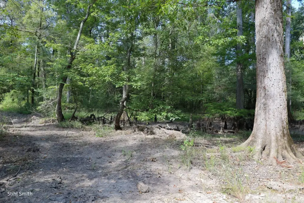Picture 26