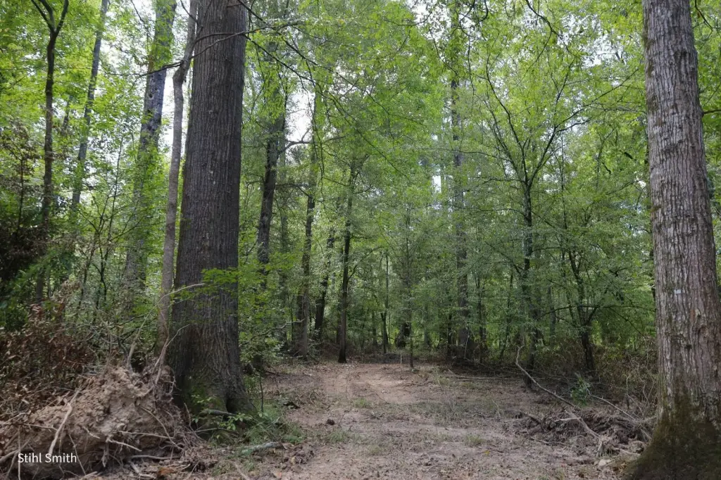 Picture 28