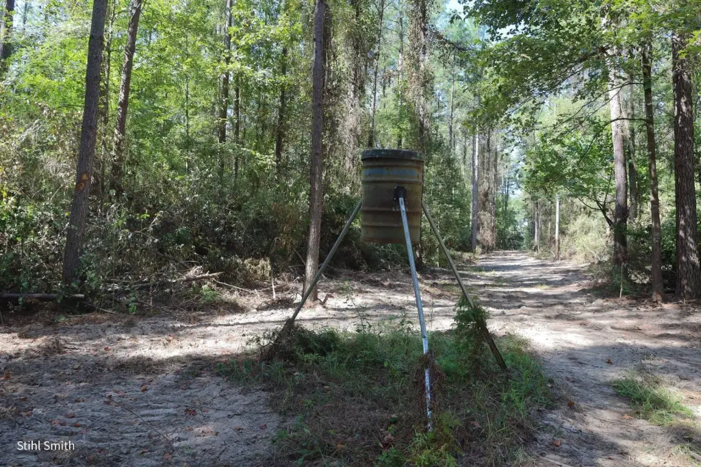 Picture 16