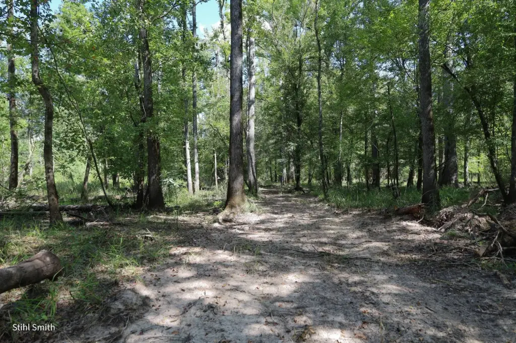 Picture 34