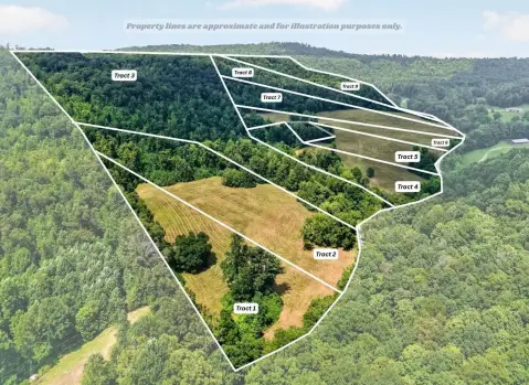 Agricultural Land with Woodland
