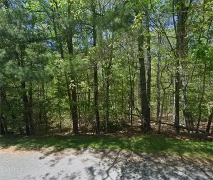 Wooded Acreage in Independence, VA