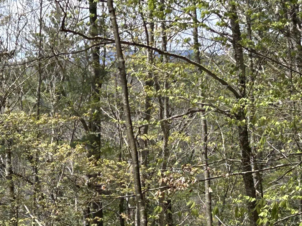 Picture 19