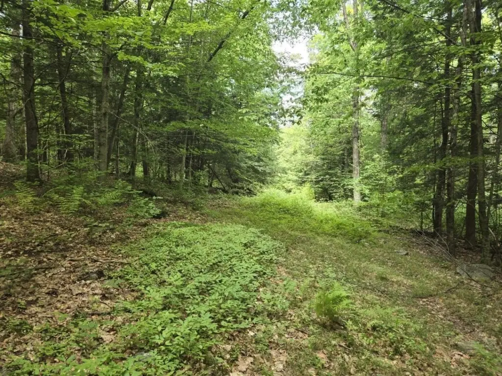 Picture 25