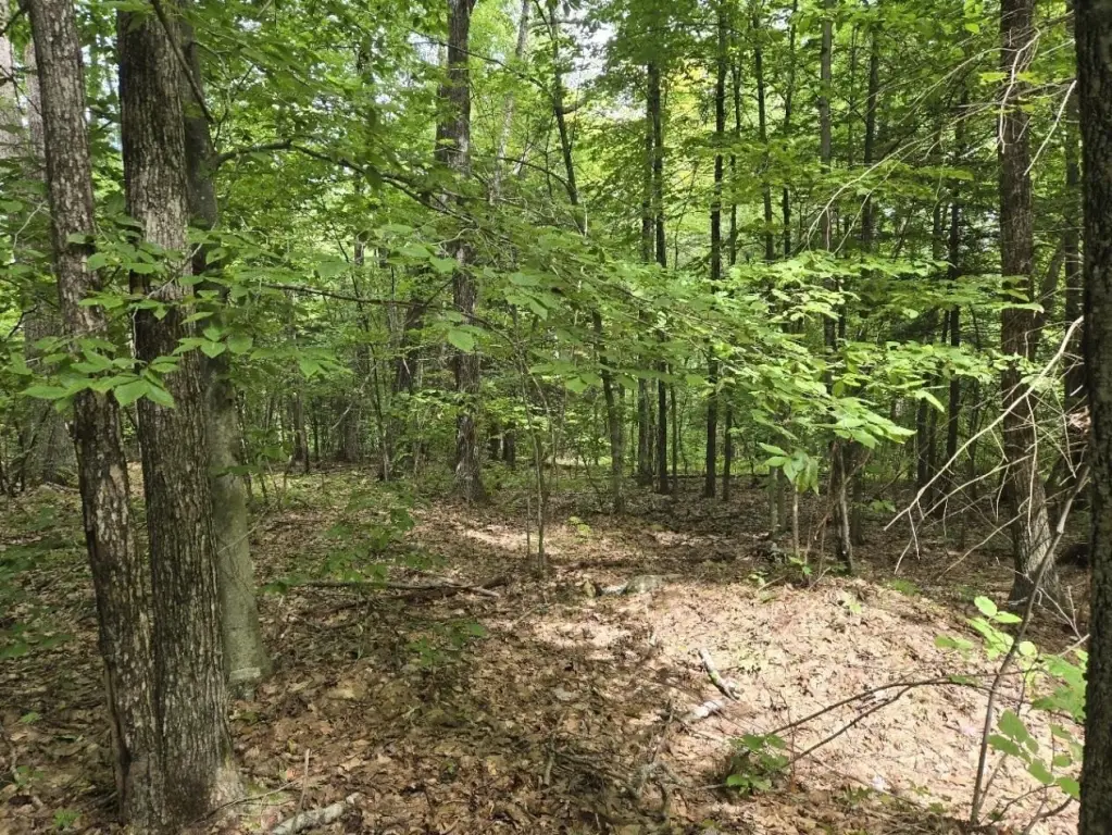 Picture 22