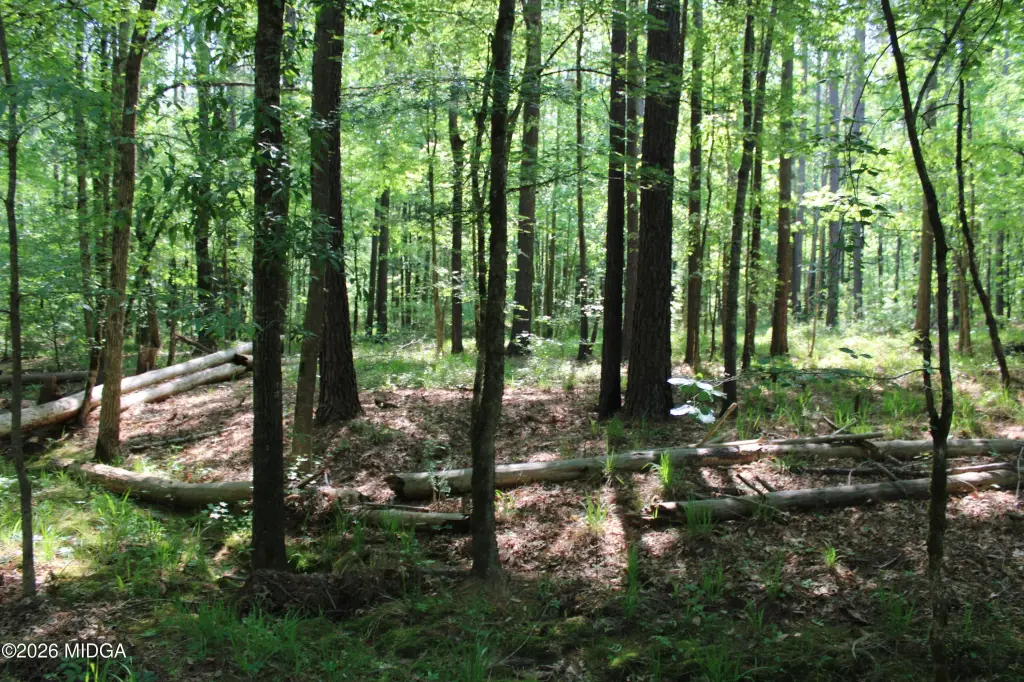 Picture 8