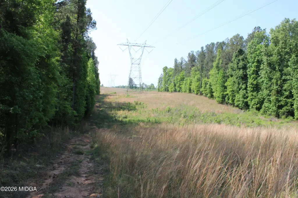 Picture 7