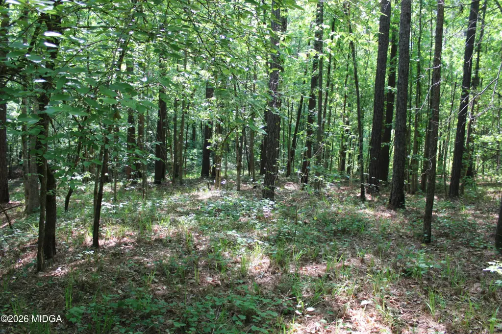 Picture 9