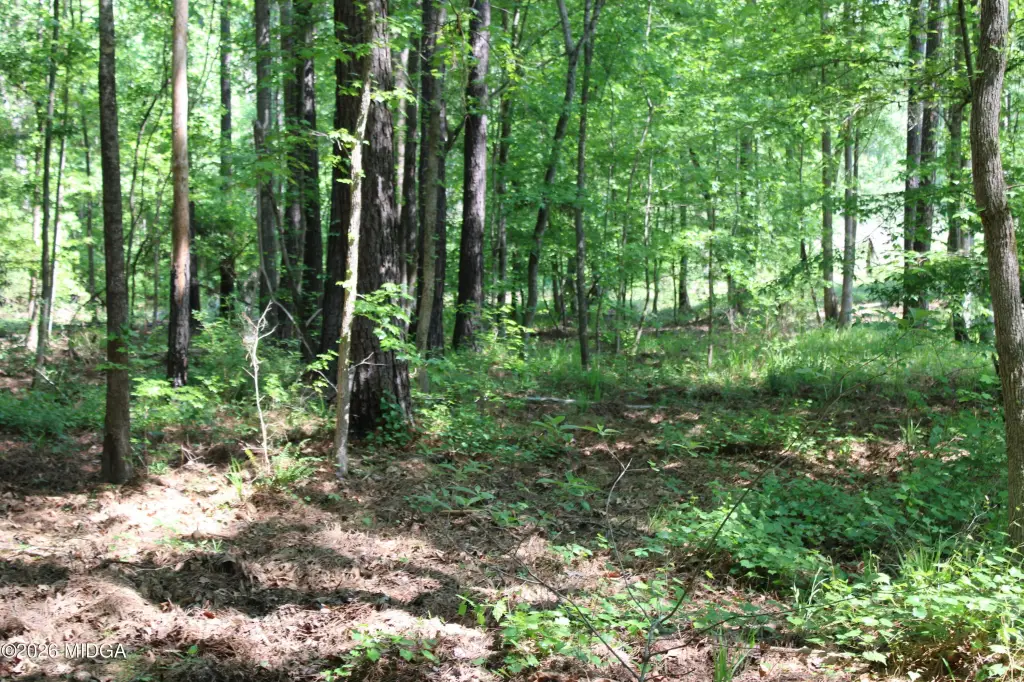 Picture 2