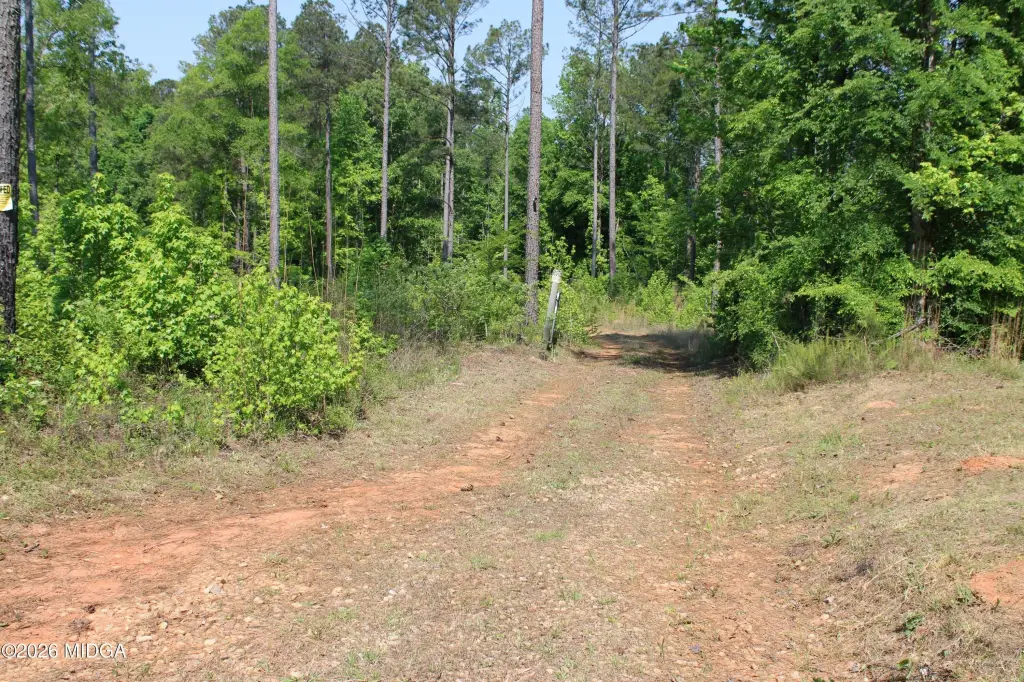 Picture 11