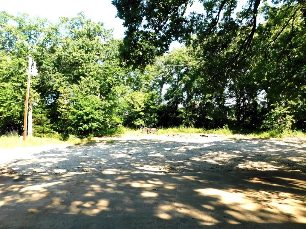 Picture 14