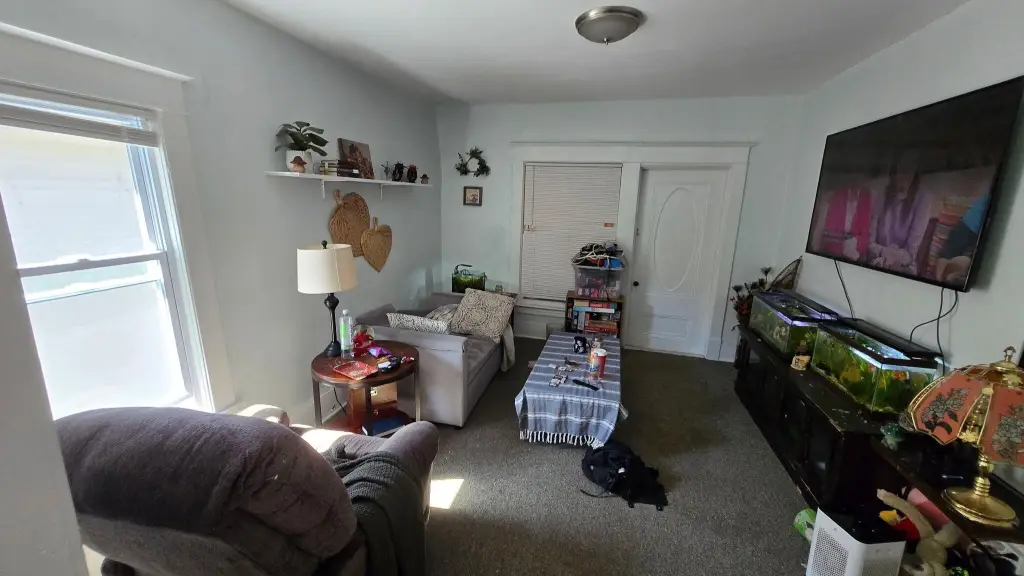 Picture 23