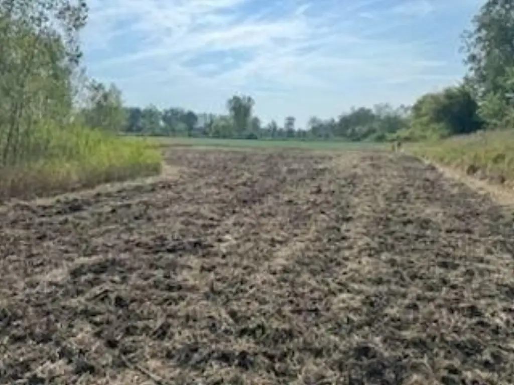 Picture 35