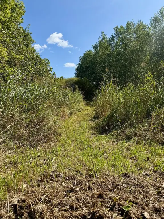 Picture 19
