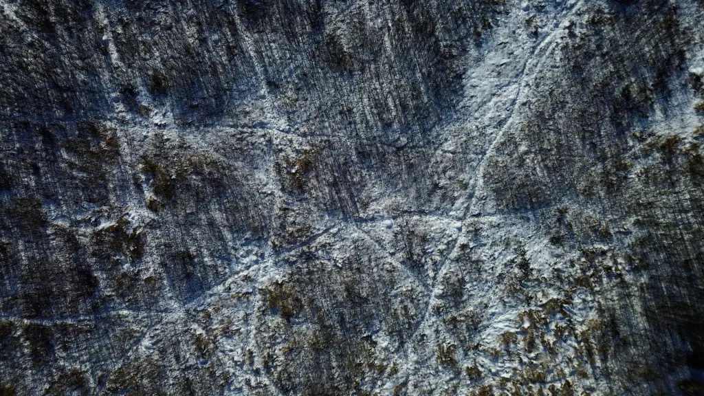 Picture 42