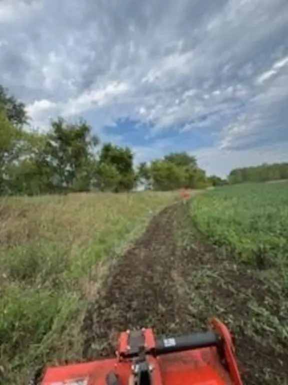 Picture 34