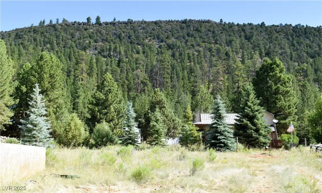 Picture 24