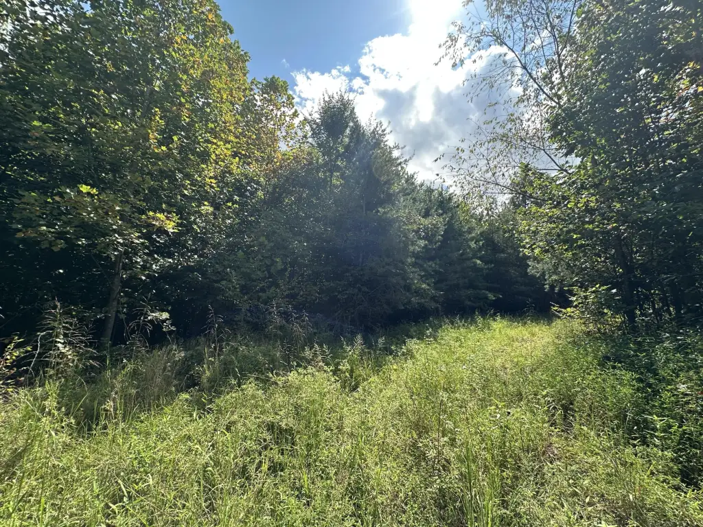 Picture 25