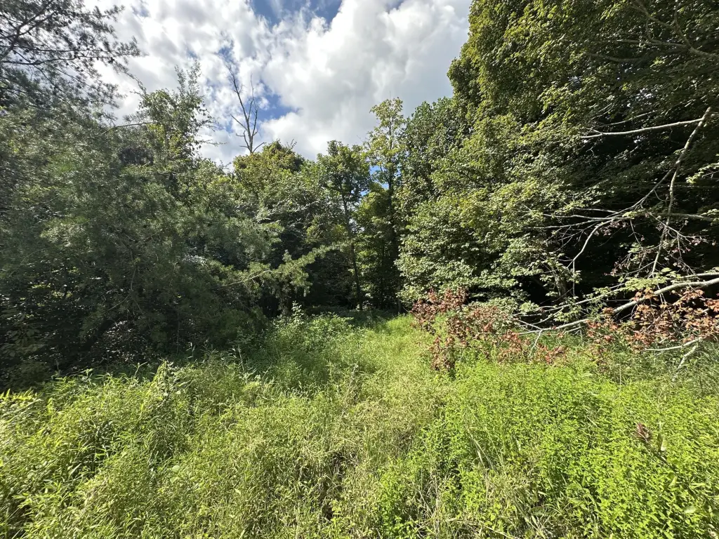 Picture 22