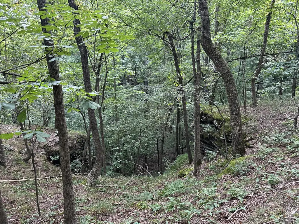 Picture 15