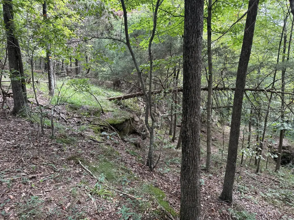Picture 16