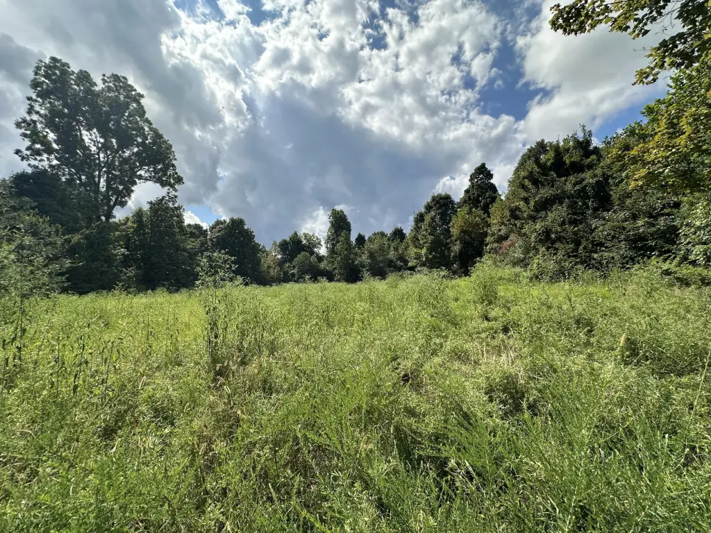 Picture 24