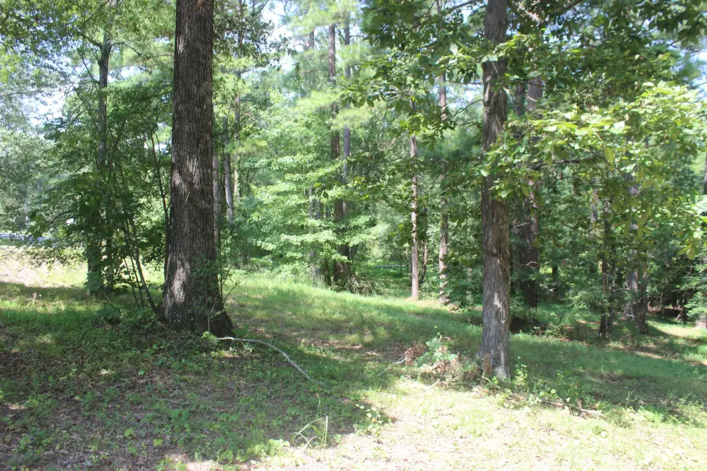 Picture 14