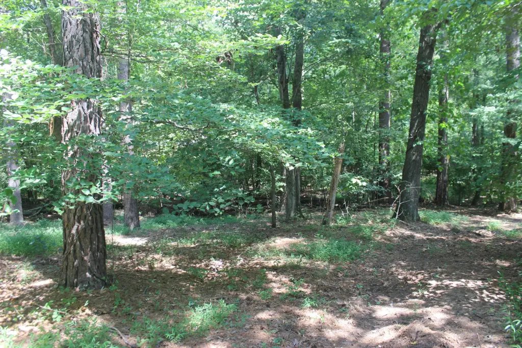 Picture 19