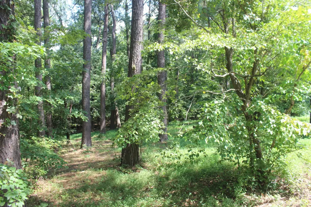 Picture 25