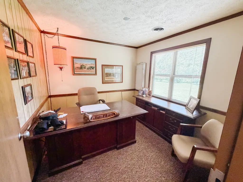Picture 29