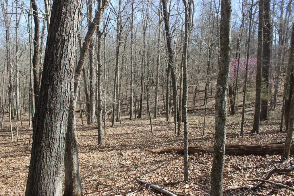 Picture 24