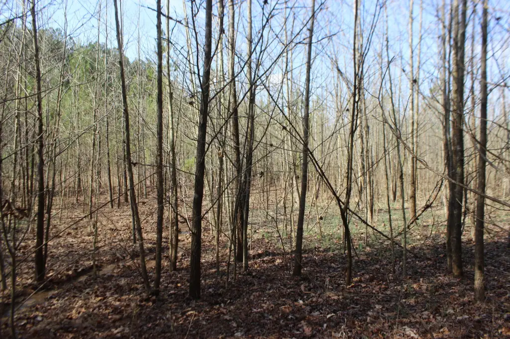Picture 29