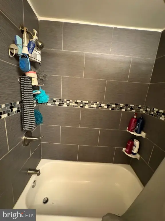 Picture 24
