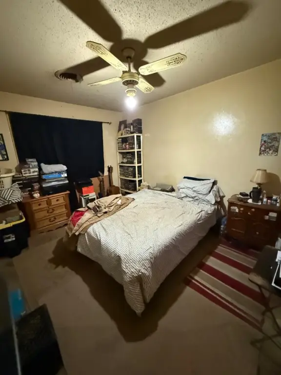 Picture 16