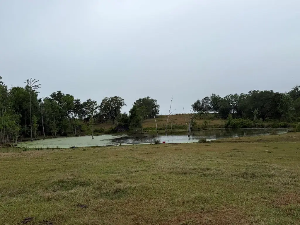 Picture 25