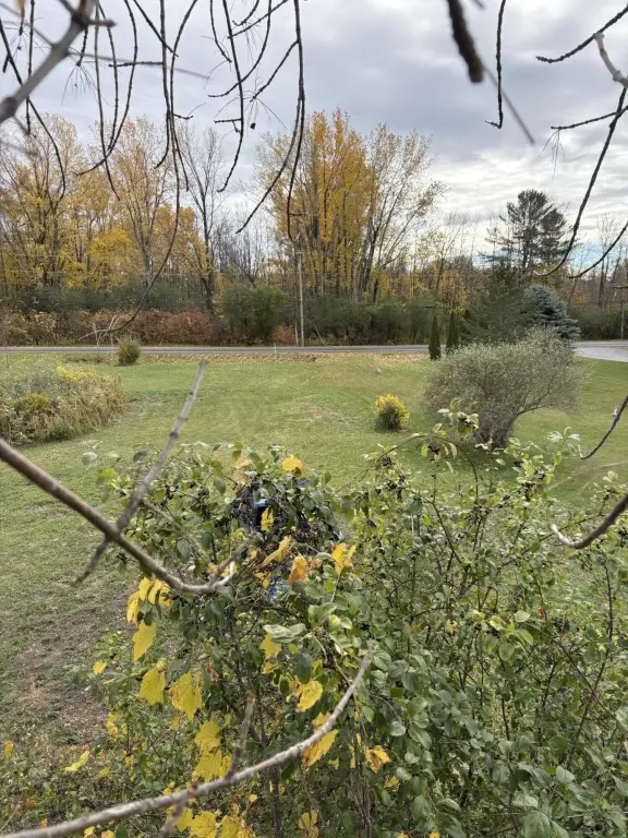 Picture 5