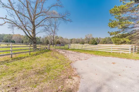 Expansive Wooded Homesite in Lexington
