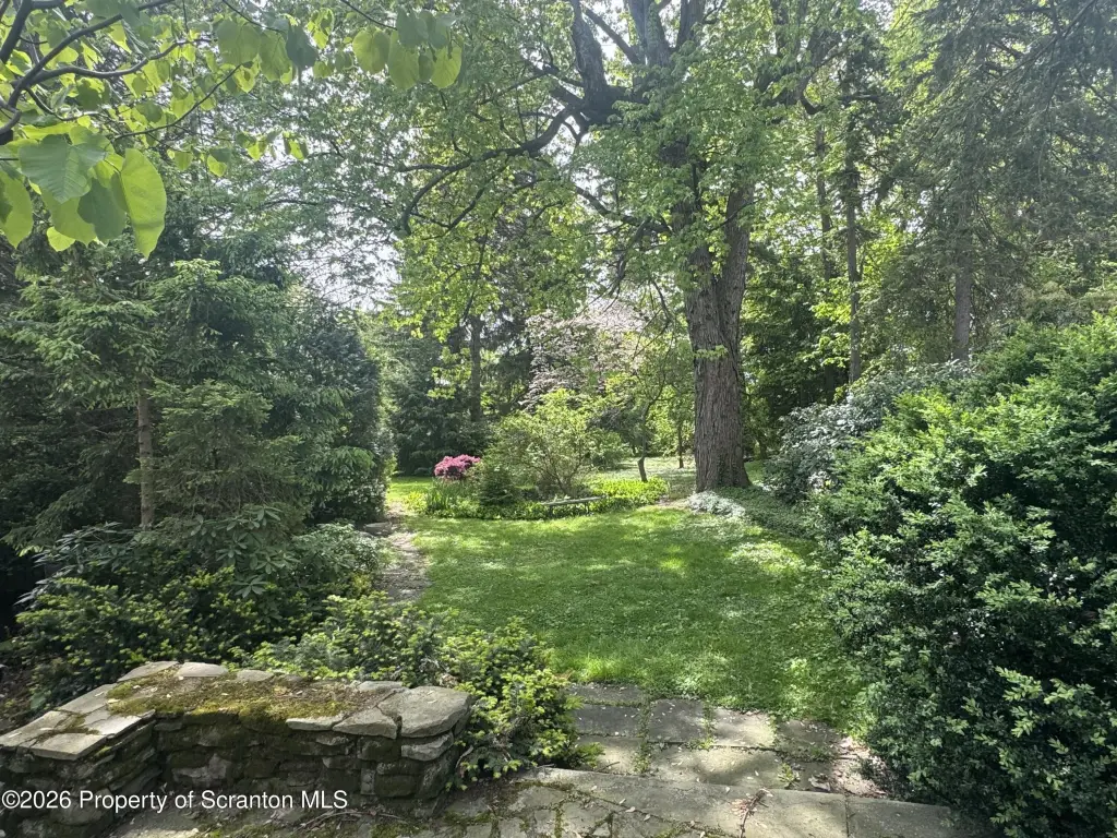Picture 23