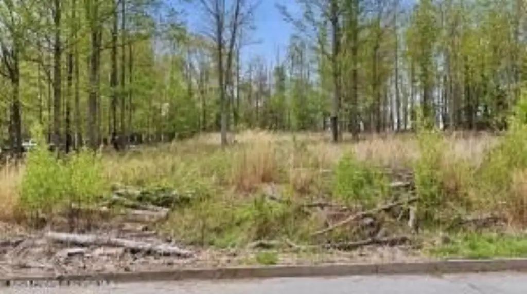 Picture 16
